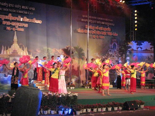 Colorful activities to mark Vietnam-Laos Friendship Year - ảnh 1